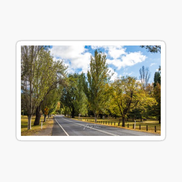 Item preview, Mount Macedon Road, Mount Macedon, Victoria, Australia. designed and sold by Vicki Walsh.
