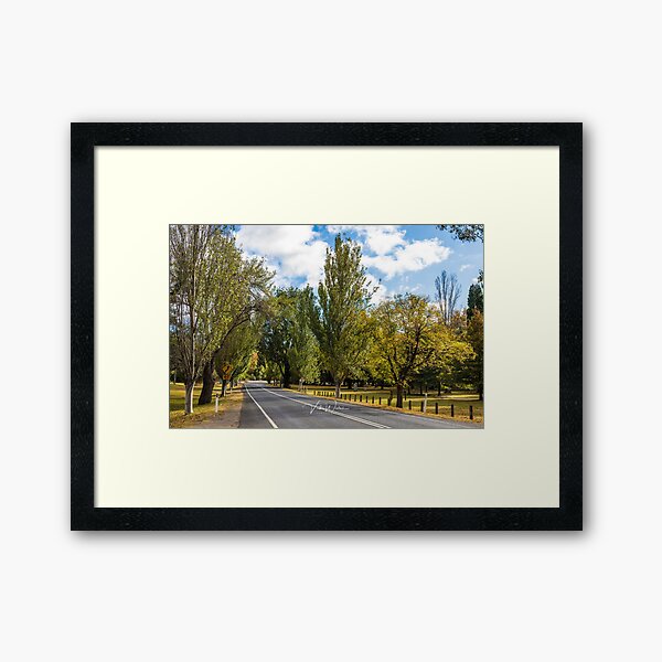 Item preview, Mount Macedon Road, Mount Macedon, Victoria, Australia. designed and sold by Vicki Walsh.