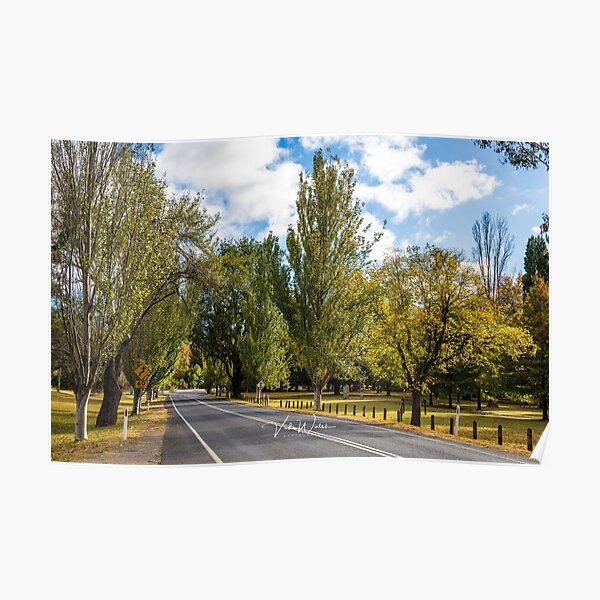 Mount Macedon Road, Mount Macedon, Victoria, Australia. Poster