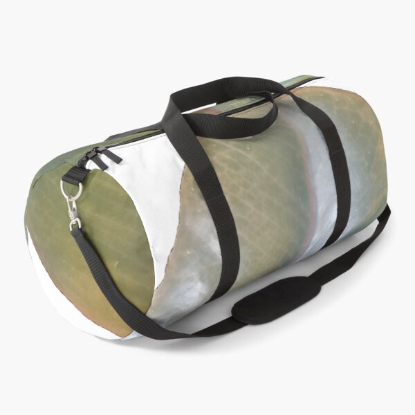 Item preview, Rubber Tree Leaf designed and sold by AroidIsland.
