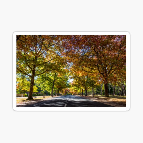 Item preview, Honour Avenue, Mount Macedon, Victoria, Australia. designed and sold by Vicki Walsh.