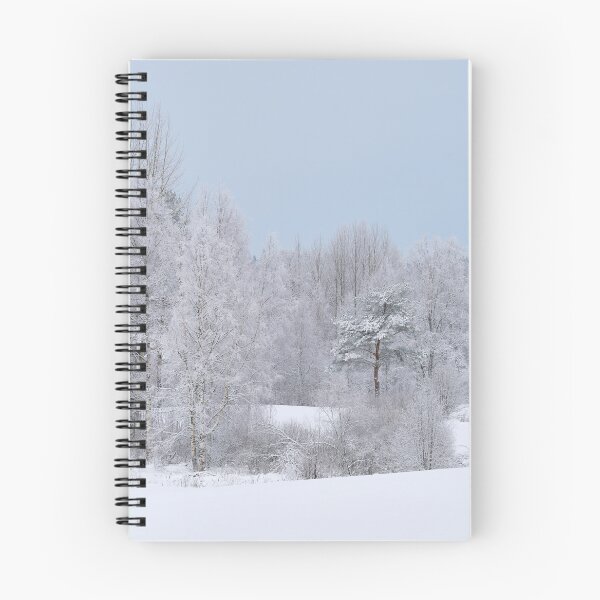 Item preview, The river valley. Parkkuu winter 2023 minimal color designed and sold by Jouko Lehto Photography.