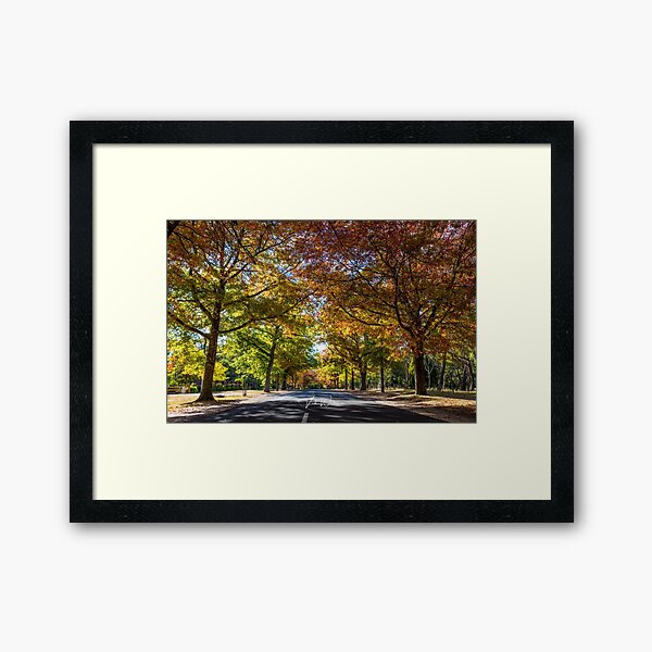 Item preview, Honour Avenue, Mount Macedon, Victoria, Australia. designed and sold by Vicki Walsh.