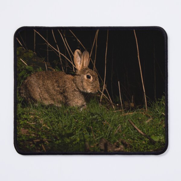 Artikelvorschau, Hase entworfen und verkauft von MTPhotos1406.
