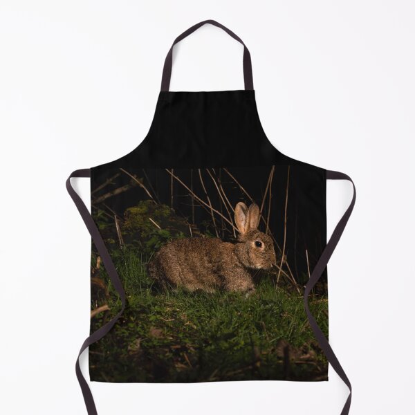Item preview, Rabbit designed and sold by MTPhotos1406.