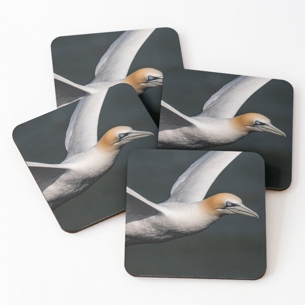Item preview, Gannet designed and sold by MTPhotos1406.