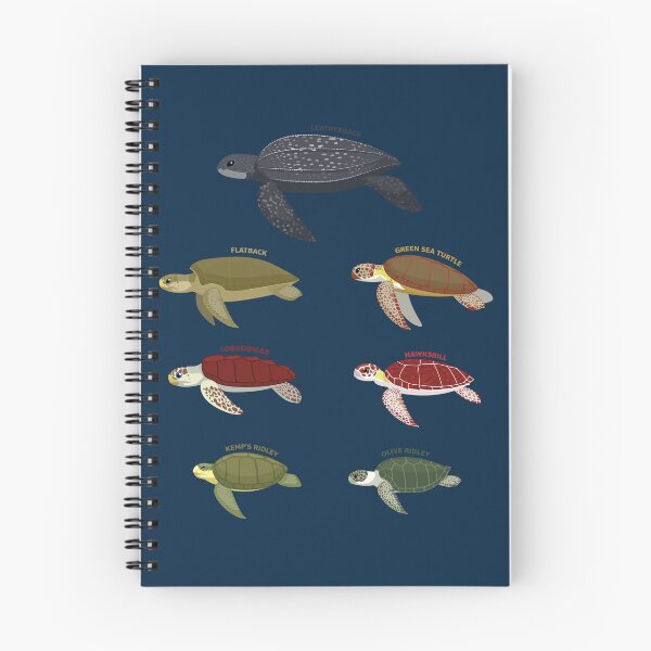 Item preview, Sea Turtle Side View Comparisons designed and sold by SUPERHERON.