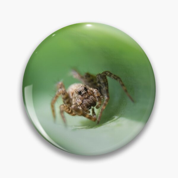 Item preview, Spider designed and sold by MTPhotos1406.