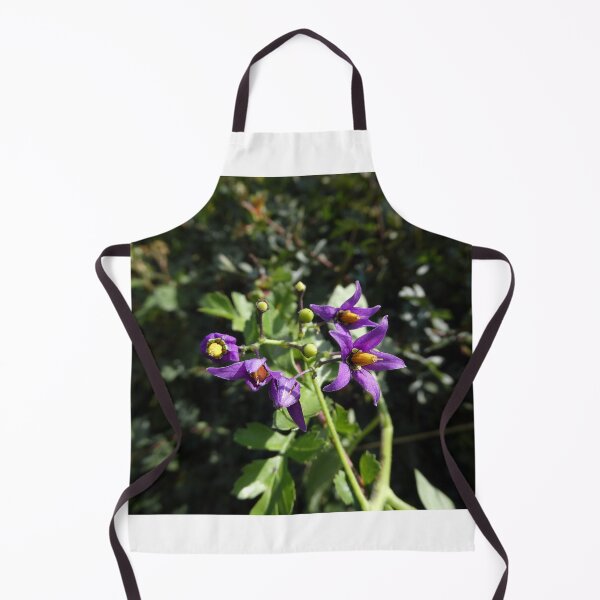 Item preview, Solanum Dulcamara, British hedgerow plant designed and sold by JonDelorme.