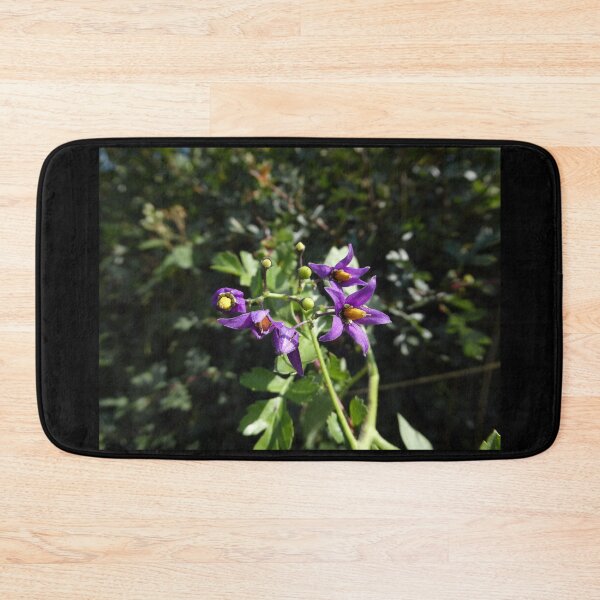Item preview, Solanum Dulcamara, British hedgerow plant designed and sold by JonDelorme.