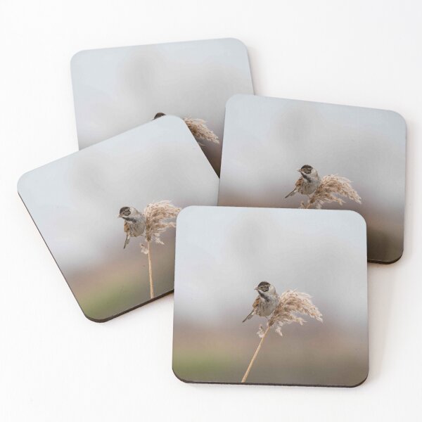 Item preview, Reed Bunting designed and sold by MTPhotos1406.