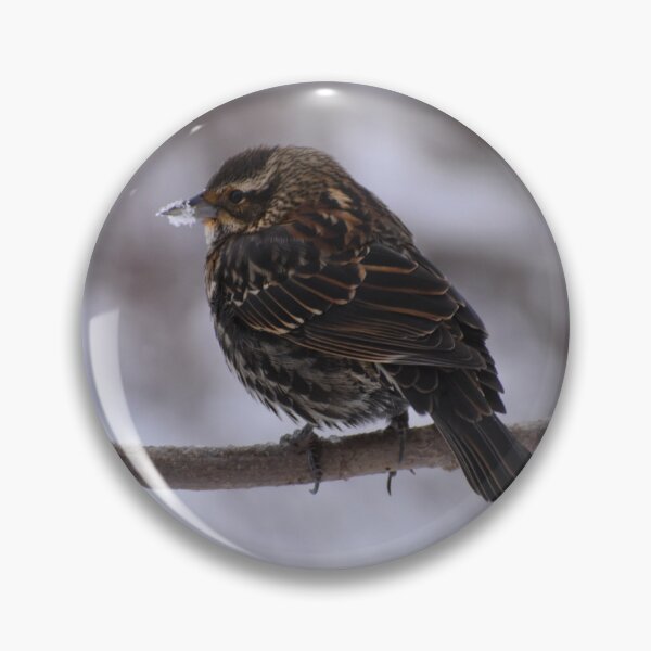 Item preview, A bunting in the garden in spring designed and sold by Claude Laprise.