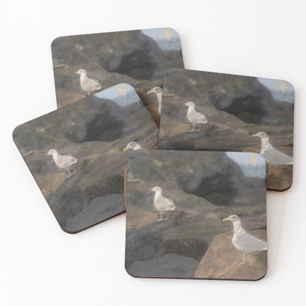 Item preview, European herring gull designed and sold by Calidris Fotografie Steffi & Ben Köppler.