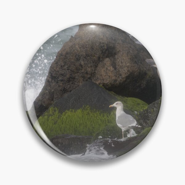 Item preview, European herring gull designed and sold by Calidris Fotografie Steffi & Ben Köppler.