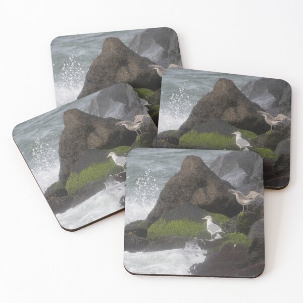 Item preview, European herring gull designed and sold by Calidris Fotografie Steffi & Ben Köppler.