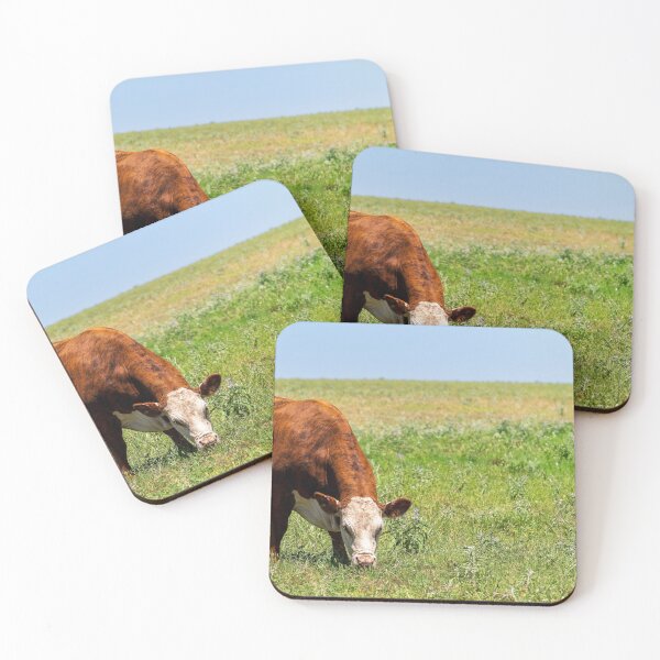 Item preview, Brown and White Female Hereford cow in a green pasture designed and sold by noblephoto.