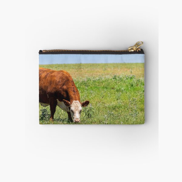 Item preview, Brown and White Female Hereford cow in a green pasture designed and sold by noblephoto.