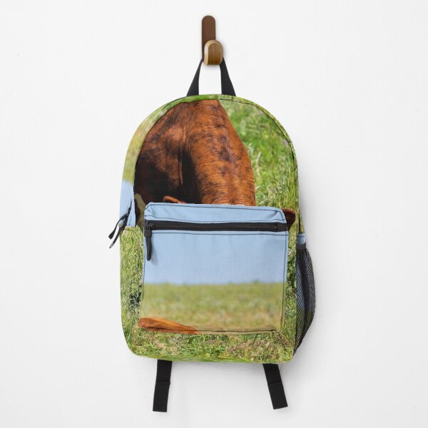 Item preview, Brown and White Female Hereford cow in a green pasture designed and sold by noblephoto.