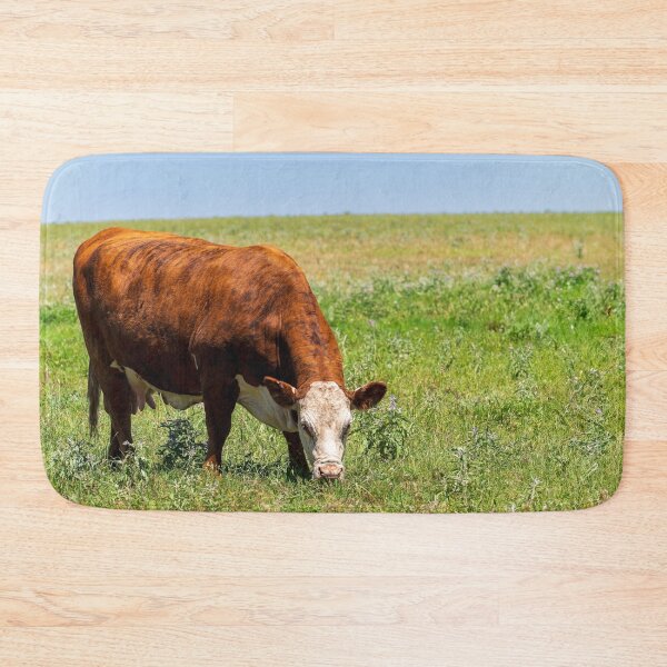 Item preview, Brown and White Female Hereford cow in a green pasture designed and sold by noblephoto.