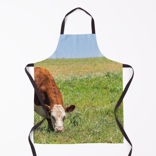 Item preview, Brown and White Female Hereford cow in a green pasture designed and sold by noblephoto.