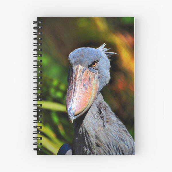 Item preview, Shoebill  designed and sold by Savannah Gibbs.
