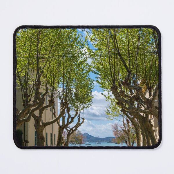 Item preview, Puerto Pollensa Pine Walk Mallorca designed and sold by GG WALL ART.