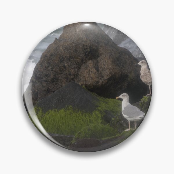 Item preview, European herring gull designed and sold by Calidris Fotografie Steffi & Ben Köppler.