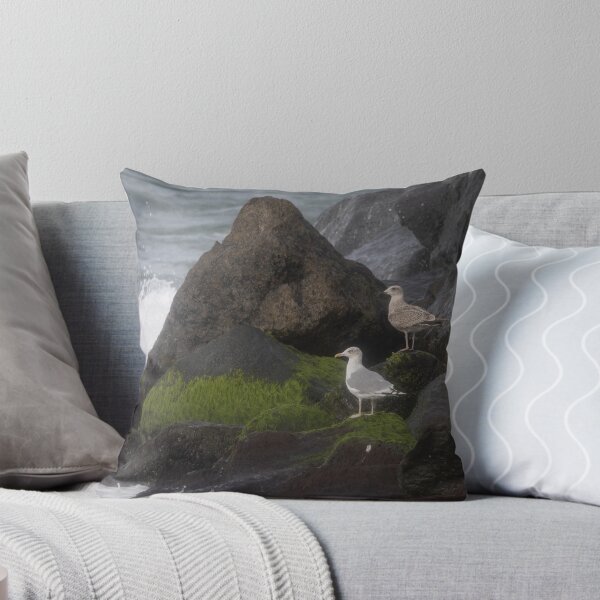 Item preview, European herring gull designed and sold by Calidris Fotografie Steffi & Ben Köppler.