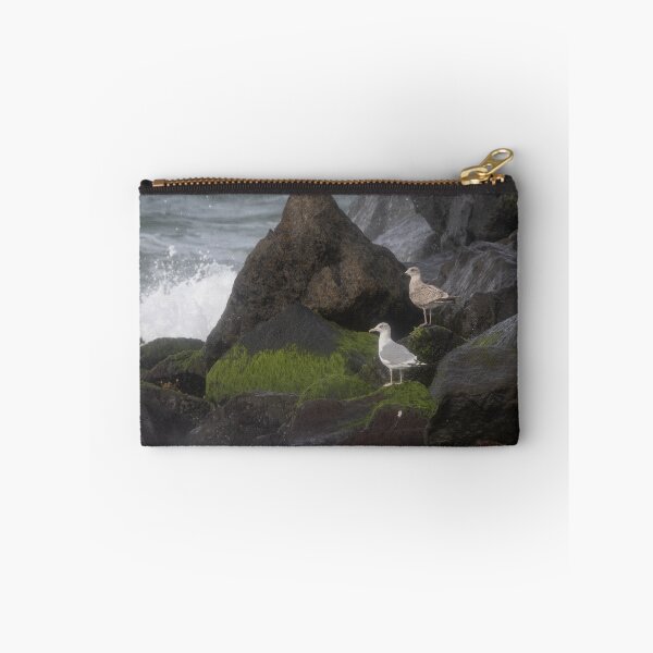 Item preview, European herring gull designed and sold by Calidris Fotografie Steffi & Ben Köppler.