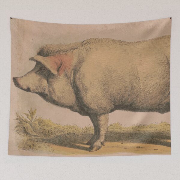 Item preview, Vintage Illustration of a Domesticated Pig (1874) designed and sold by BravuraMedia.
