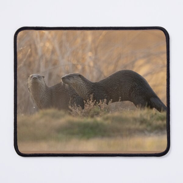 Item preview, Morning River Otters designed and sold by wildlifist.