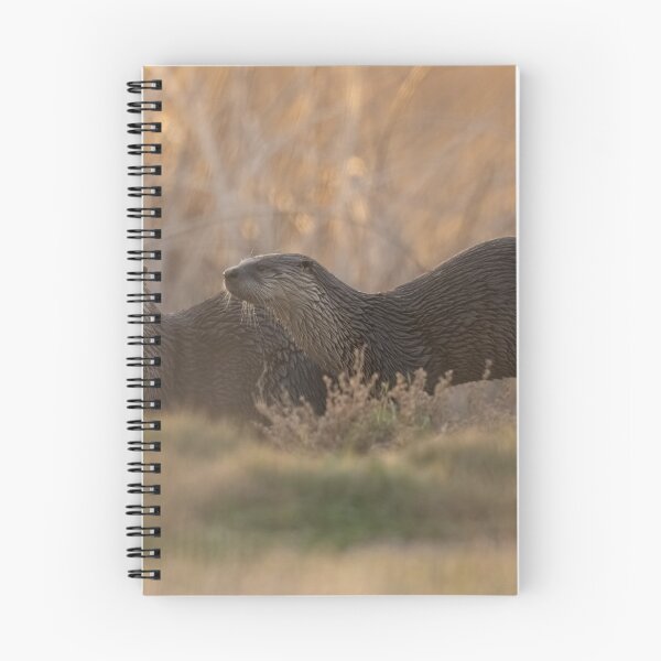 Item preview, Morning River Otters  designed and sold by wildlifist.