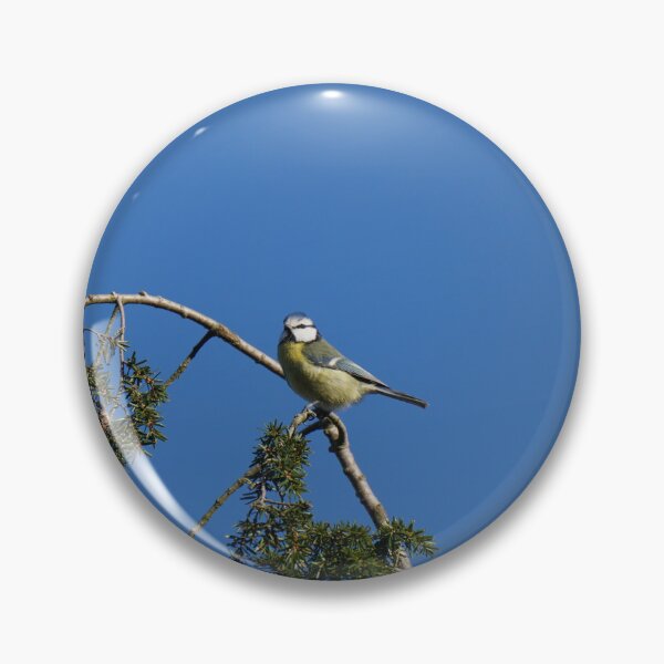 Item preview, Blue tit on a tree designed and sold by Binas-gallery.