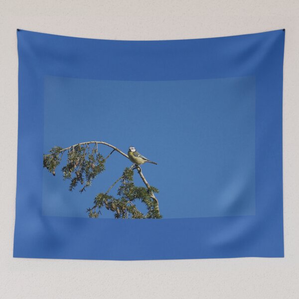 Item preview, Blue tit on a tree designed and sold by Binas-gallery.