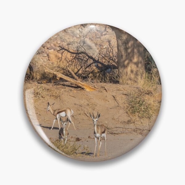 Item preview, Namibia. Springboks. designed and sold by vadim19.