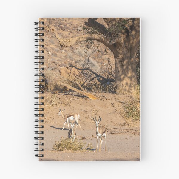 Item preview, Namibia. Springboks. designed and sold by vadim19.