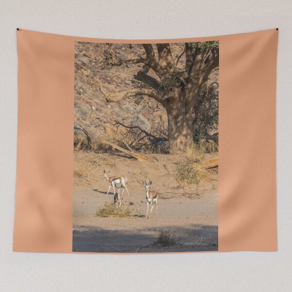 Item preview, Namibia. Springboks. designed and sold by vadim19.