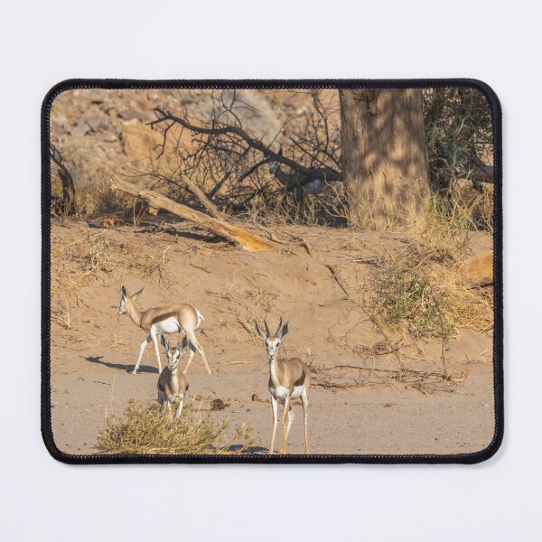 Item preview, Namibia. Springboks. designed and sold by vadim19.