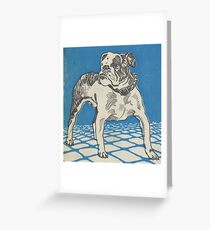 Vintage American Bulldog Illustration (1912) Greeting Card