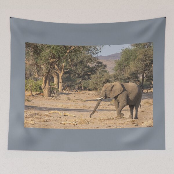 Item preview, Namibia. Bushland. Elephant.  designed and sold by vadim19.