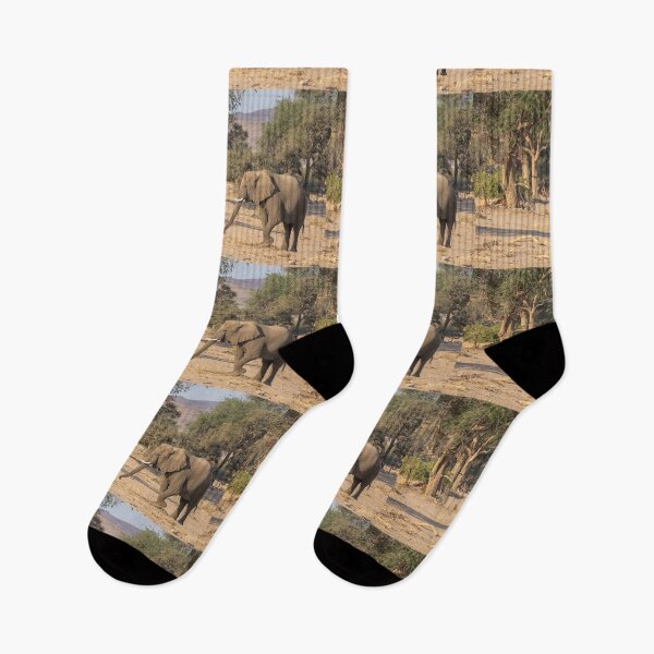 Item preview, Namibia. Bushland. Elephant.  designed and sold by vadim19.