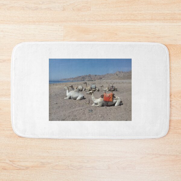 Item preview, Five camels are sitting opposite the Red Sea designed and sold by Osama-Hamdi.