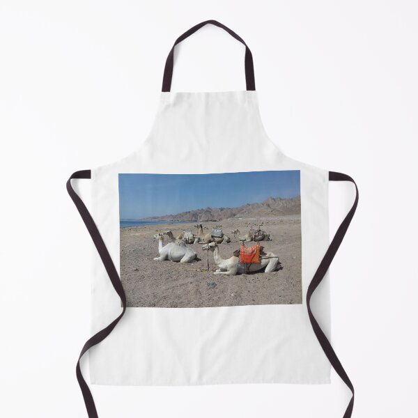 Item preview, Five camels are sitting opposite the Red Sea designed and sold by Osama-Hamdi.