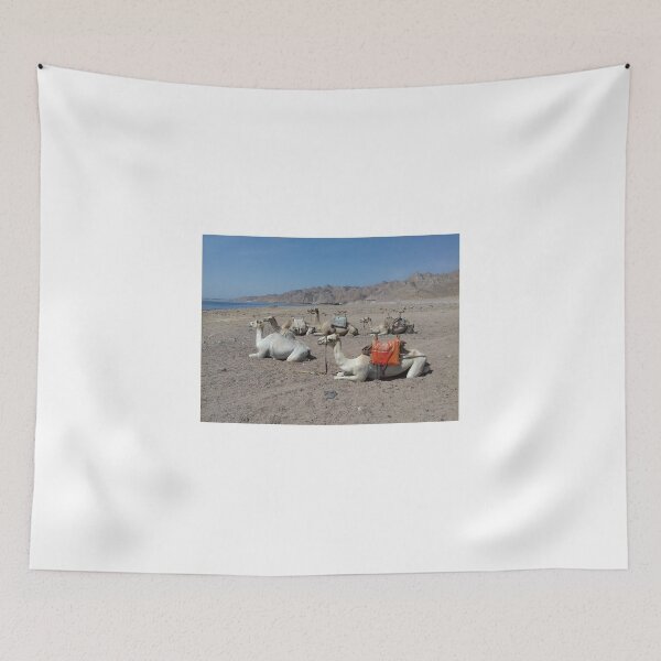 Item preview, Five camels are sitting opposite the Red Sea designed and sold by Osama-Hamdi.