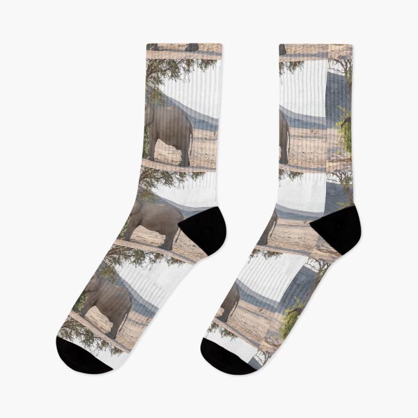 Item preview, Namibia. Elephant with the Raised Trunk.  designed and sold by vadim19.
