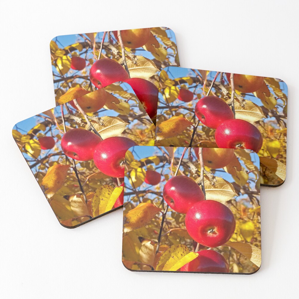 Item preview, Coasters (Set of 4) designed and sold by Bierman9.