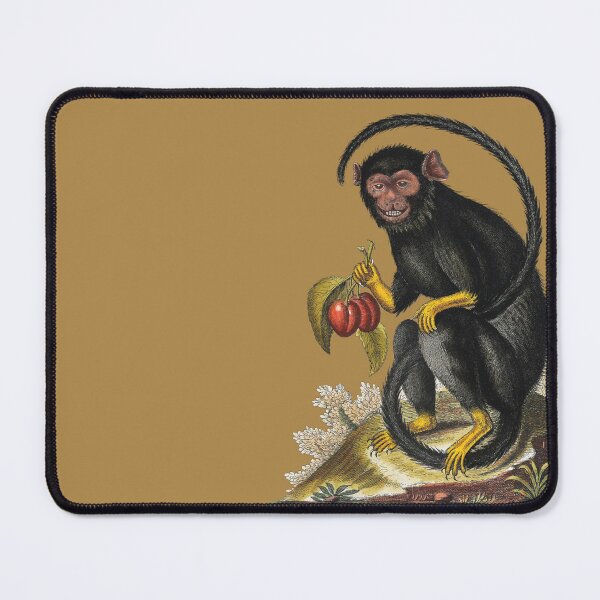 Item preview, Longtailed black ape holding two plums. designed and sold by Luggnagg.