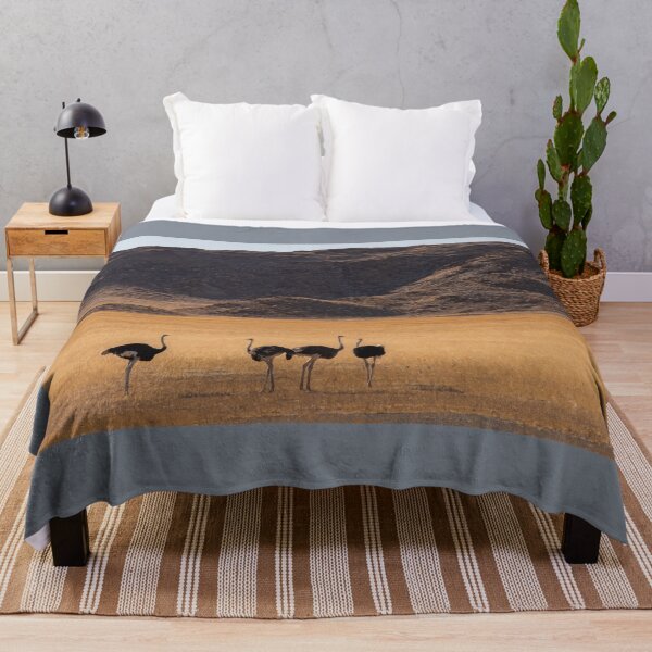 Item preview, Namibia. Desert. Ostriches.  designed and sold by vadim19.