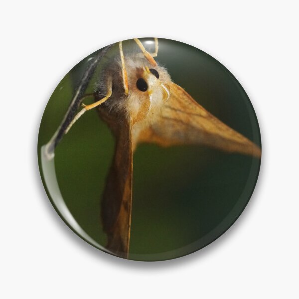 Item preview, Dusky Thorn designed and sold by SteveEvansArt.