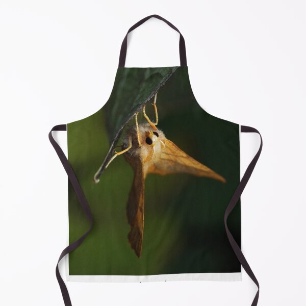 Item preview, Dusky Thorn designed and sold by SteveEvansArt.